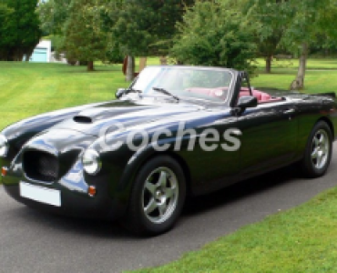 5.9 AUTOMATICO (390 CV)