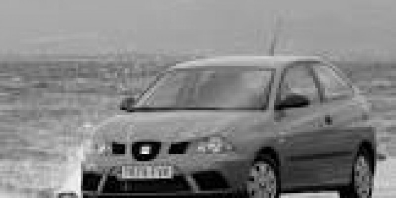 SEAT Ibiza 2007 Hatchback 5-Puertas III FR 1.8 MANUAL (150 CV)